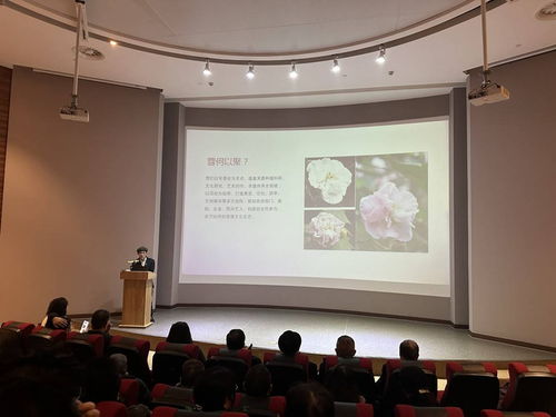 首屆芙蓉文化學術交流活動在蓉城隆重啟幕，共繪文化繁榮新圖景