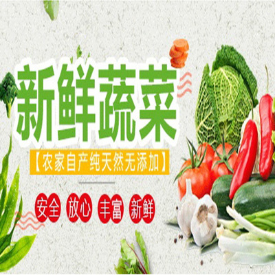 清新區食材批發與蔬菜配送服務報價指南 大型市場直供，食堂送菜無憂